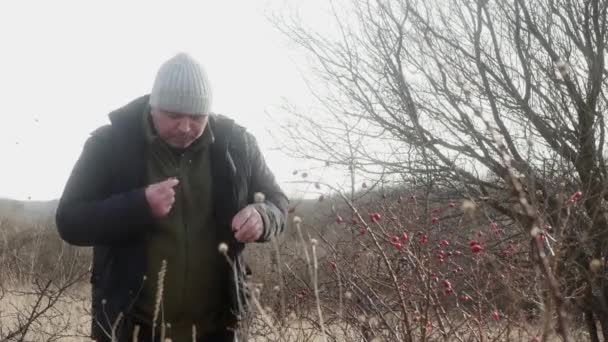 自然界の男は新鮮な赤いブリアーを食べて — ストック動画