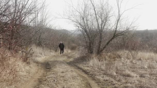 Mann Wandert Der Natur Auf Waldweg — Stockvideo