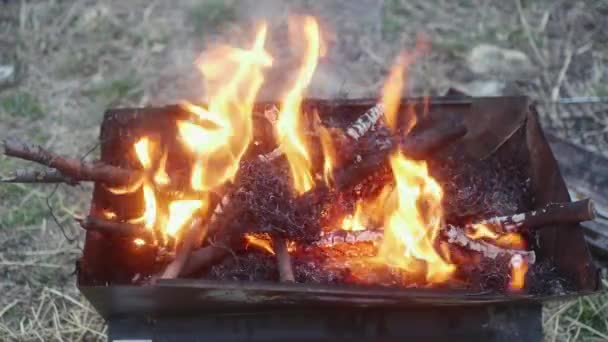 바베큐에서 가지들을 태우고 탁트인 위에서 — 비디오