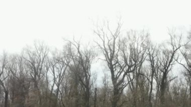 Bir adam çimlerin üzerinde oturur ve hızlı bir nehrin kıyısındaki dizüstü bilgisayarın transformatörüne bakar.