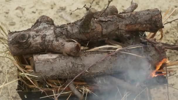 烤肉时 满地都是切碎的粗枝 开始燃烧特写 — 图库视频影像