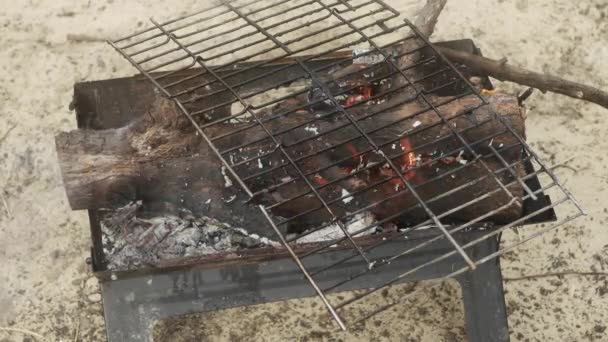 Barbecue Campeggio Con Una Griglia Con Bruciore Rami Spessi Primo — Video Stock