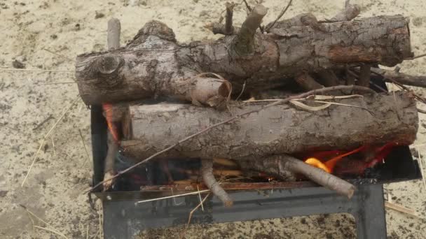Barbacoa Camping Con Ramas Gruesas Llamas — Vídeos de Stock