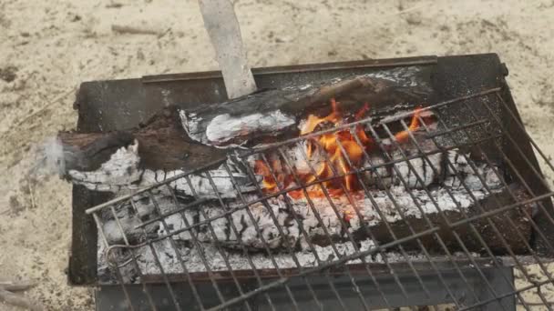 Pfanne Mit Marinierten Hühnerkeulen Großaufnahme Über Einem Brennenden Tragbaren Grill — Stockvideo