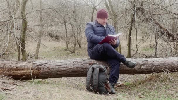 Ormanda Kitap Okuyan Bir Adam Devrilmiş Bir Çam Ağacında Oturuyor — Stok video