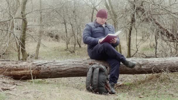 Toerist Leest Een Boek Het Bos Zittend Een Omgevallen Dennenboom — Stockvideo