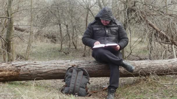 Podróżnik Czytający Książkę Siedząc Sosnie Lesie Podczas Lekkich Wiosennych Opadów — Wideo stockowe