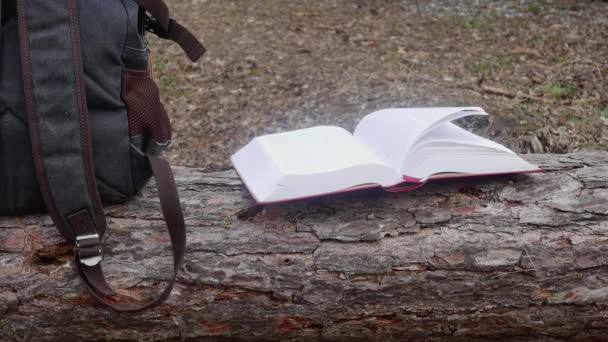 Ветер Переворачивает Страницы Библии Лесу Расчищая Лежащей Сосне — стоковое видео