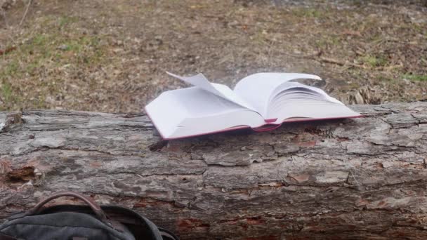 风把森林里的圣经翻页在一棵躺着的松树上 — 图库视频影像
