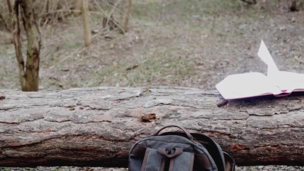 Thick Open Book Early Spring Forest Lying Pine — Stock Video