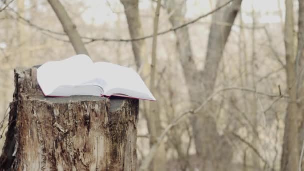 Ağaçların Arka Planına Karşı Ormandaki Bir Kütük Üzerine Bir Kitap — Stok video