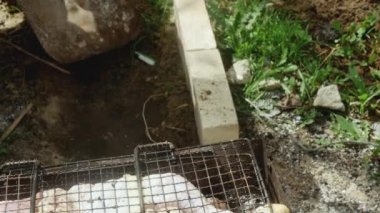 Kürekli bir el ızgaranın yanında çiğ tavuk bacaklı bir ateş için çukur kazıyor.