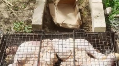  Izgaranın yanındaki ateş çukurunda çiğ tavuk budu ve patates var.