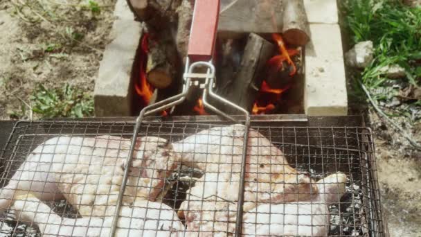 Surowe Świeże Nogi Kurczaka Gotowane Grillu Pobliżu Dołu Płonącym Drewnem — Wideo stockowe