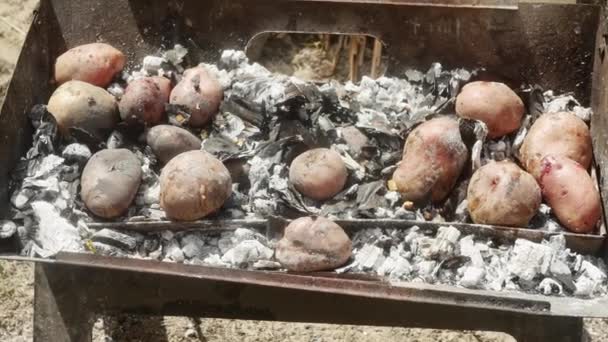 Hands Pulling Underbaked Potatoes Hot Coals — Vídeos de Stock