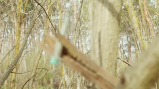 Шприц Голкою Лісі Після Використання Наркомана Розмитому Тлі — стокове відео