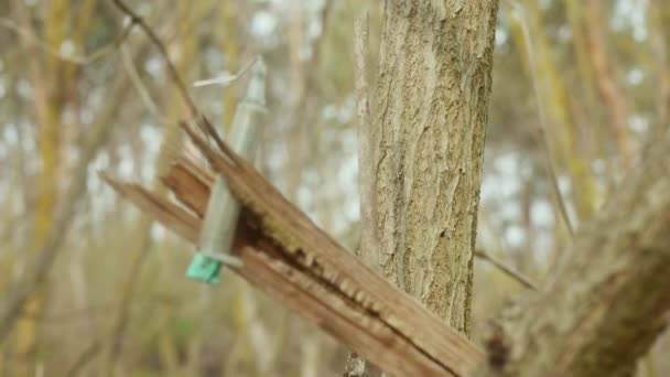 Шприц Голкою Лісі Після Використання Наркомана — стокове відео