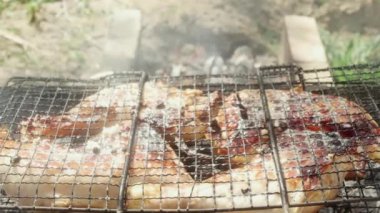 Chicken legs are preparing in a camping barbecue grill, close-up.
