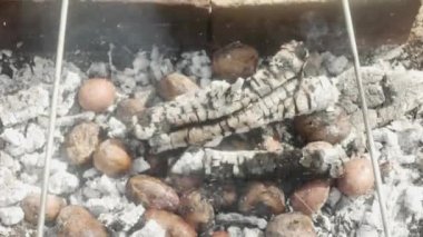 Tavuk budu ve iştah açıcı kabuk, sıcak kül ve patates.