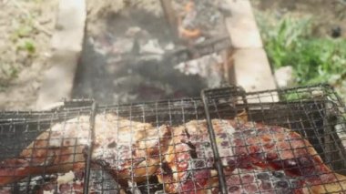 İştah açıcı kabuklu tavuk budu, kamp ızgarasında hazırlanıyor..