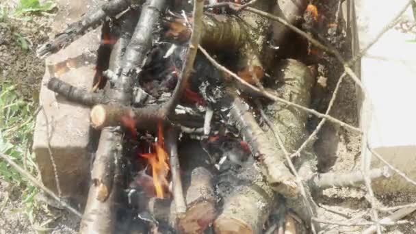 焚烧坑中的木柴和树枝 特写镜头 — 图库视频影像