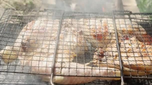 Chicken Legs Cooking Barbecue Grill Close Pit Hot Fire — ストック動画