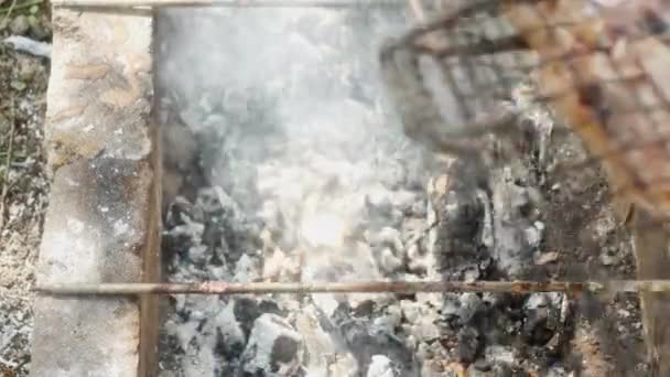 Flipping Chicken Legs Grill Hot Ashes Smoke — Vídeo de Stock