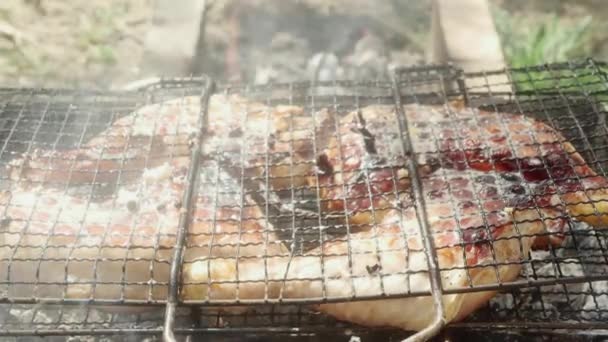 Hand Splashes Marinade Chicken Legs Being Cooked Bbq Grill Closeup — Stockvideo