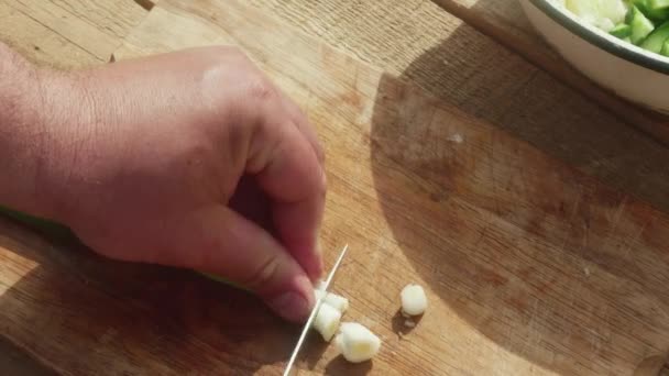 Hand Knife Cuts Leek Wooden Board — Stockvideo