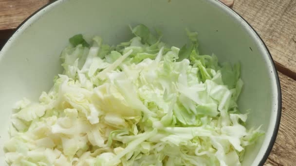 Adding Sliced Cucumber Radish Cabbage Pot — Stockvideo