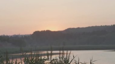 time lapse of sunrise over a summer lake against a forest background.