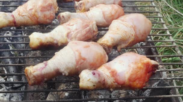 Batom Frango Marinado Fresco Grelhado Uma Clareira Macro — Vídeo de Stock