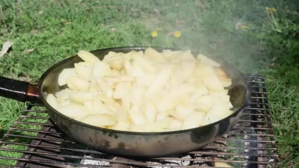 Kızartma Tavasında Patates Kızartması Yeşil Çayır Yan Manzara Yakın Çekim — Stok video