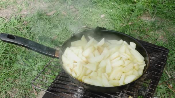 Aardappelen Bakken Een Koekenpan Een Groene Weide Bovenaanzicht — Stockvideo