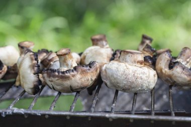  Açıklıkta ızgara şampiyonları, bulanık yeşil arka planda.