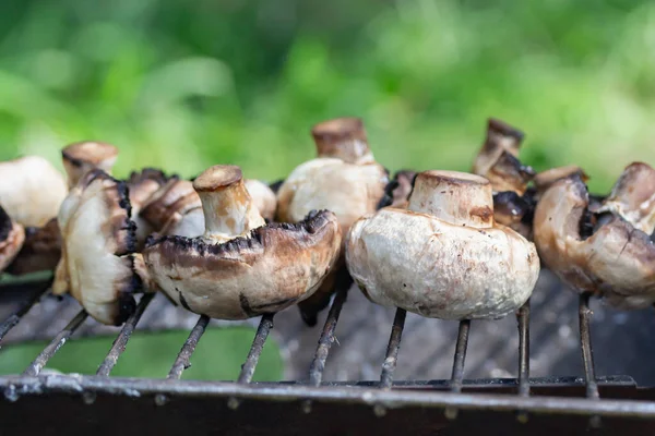 grilled champignons in a clearing, on a blurred green background.