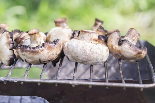 Doğada ızgara mantar, yakın plan..