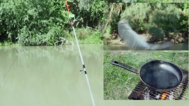 Uma Colagem Fiação Para Pesca Margem Rio Peixes Contorcendo Gancho — Vídeo de Stock