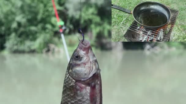 Uma Colagem Peixes Que Contorcem Gancho Margem Rio Uma Panela — Vídeo de Stock