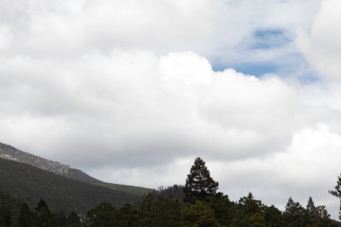 Mesa de Tablas, Coahuila, Meksika 'daki dağlık arazi ve elma bahçesi..