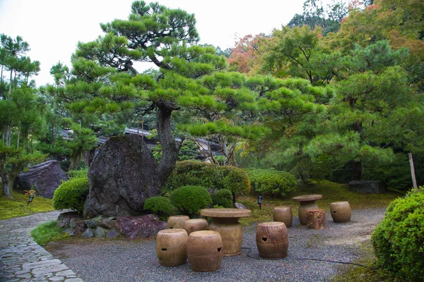 Красивый японский сад Стоковое Изображение