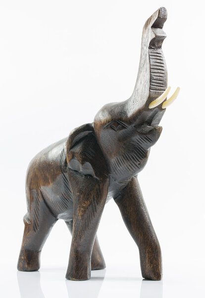 isolation model elephant