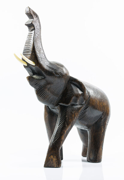 isolation model elephant