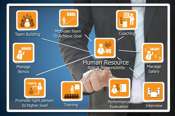 Human Resource Role and Responsibility Concept — Stock Photo, Image