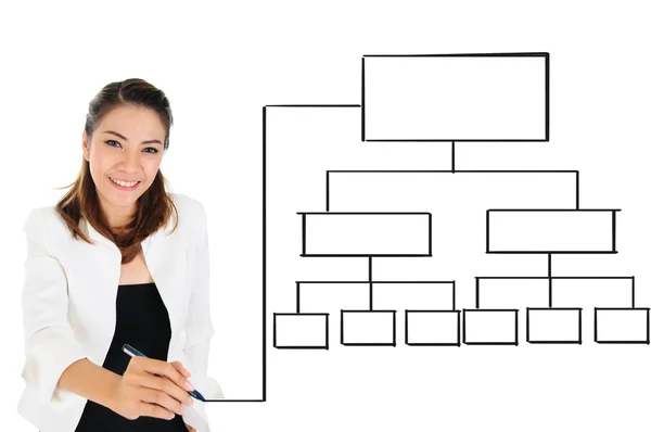 Professional business woman with empty chart — Stock Photo, Image