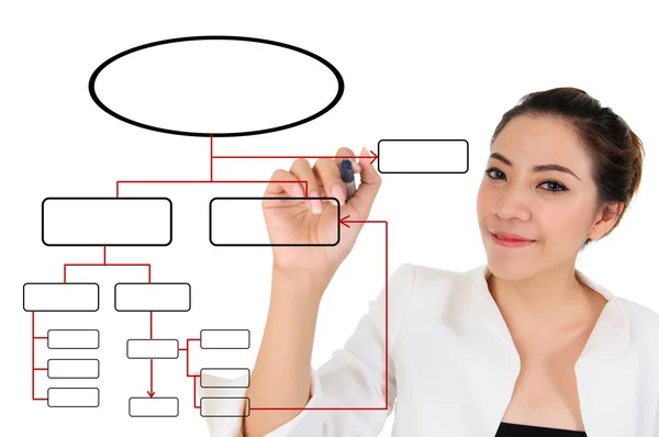 Empresária com diagrama em branco para o conceito de desenvolvimento de negócios — Fotografia de Stock