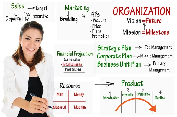 Geschäftsfrau schreibt Geschäftsmodell für Organisationsstruktur — Stockfoto