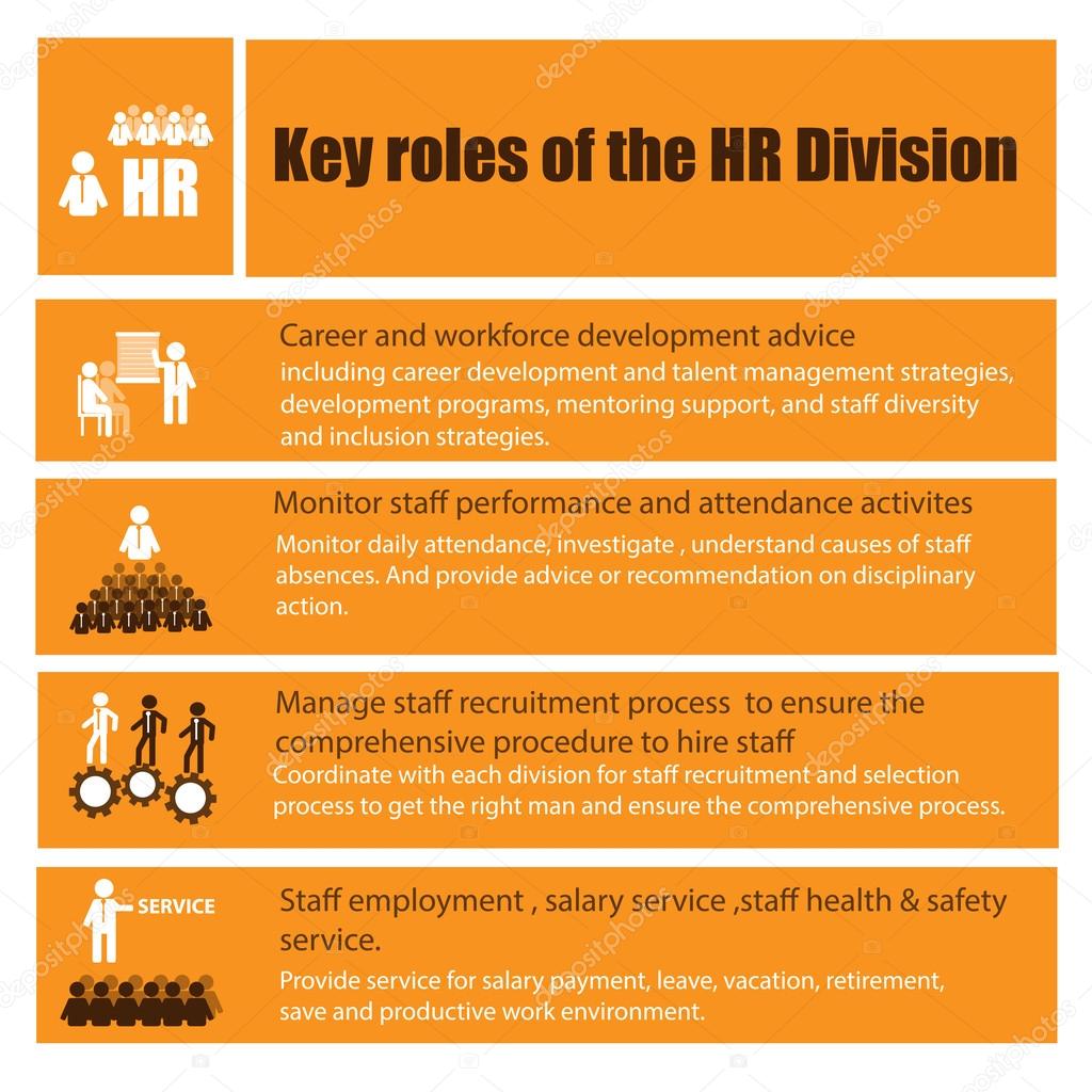 Infographic of Human Resource Role and Function Responsibility