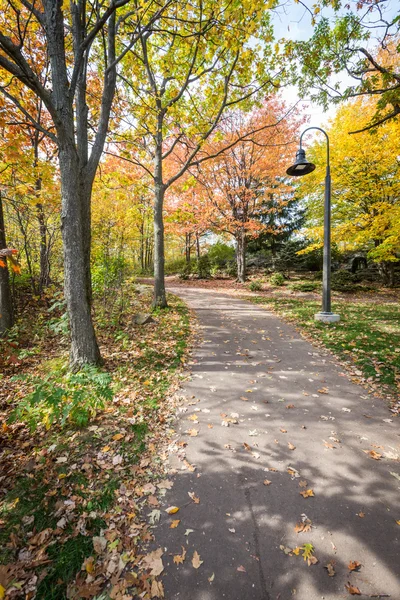 Straße im Park — Stockfoto