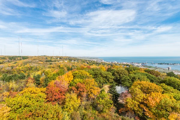 Autumn colored scene — Stock Photo, Image